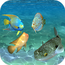 Ocean Fish Under Water Live Wallpaper APK