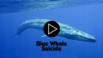 Blue Whale Suicide Affiche