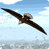 Eagle Bird City Simulator 2015 Mod apk son sürüm ücretsiz indir
