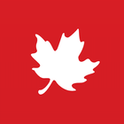 The Globe and Mail Android Ed. Zeichen