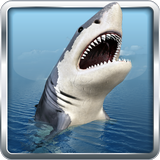 Angry Shark Shooter 3D icône