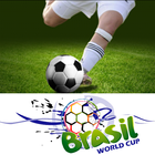 World Cup 2014 Soccer Manager icône