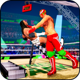 Ladder Fight Match: World Tag Wrestling Match icône