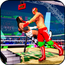 Ladder Fight Match: World Tag Wrestling Match APK