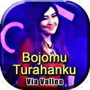 Bojomu Turahanku Koplo Via Valen APK