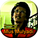 Lagu Mus Mulyadi Koleksi Keroncong APK