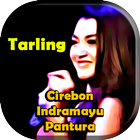 300 Hit Tarling Dangdut Pilihan icon
