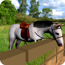 Cute Horse Pony Simulator Ride APK