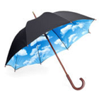 Mr. Poppins icon