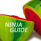 Guide For Fruits Ninja आइकन