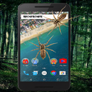 Spider Prank APK