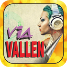 VIA VALLEN KOPLO MUSIK icon