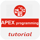 Learn Apex Programming icon