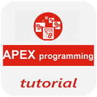 Learn Apex Programming 아이콘