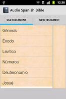 Audio Spanish Bible captura de pantalla 2