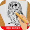 How to draw animals