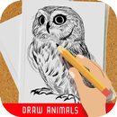 How to draw animals aplikacja