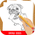 How to draw dogs
