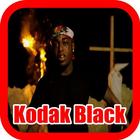 Kodak Black icône