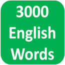 3000 English Vocabulary APK