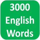 3000 English Vocabulary 圖標
