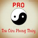 Feng Shui Tip Pro APK