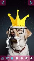 Doodle on Pictures screenshot 1
