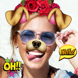 Doggy Face App آئیکن