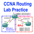 Icona CCNA Labs Routing