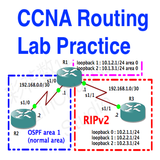 CCNA Labs Routing