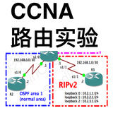 CCNA Labs Routing Lite icône