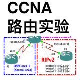 CCNA Labs Routing Lite