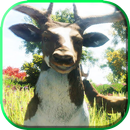 The Animal-lica simulator APK