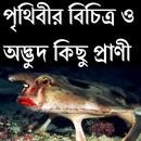 পৃথিবীর অদ্ভুদ কিছু প্রাণী aplikacja