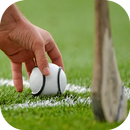 Hurling: Gaelic Football & GAA Tips APK