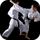 Karate Training - Karate Classes APK