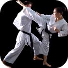 Karate Training - Karate Classes آئیکن