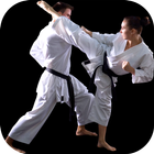 Karate Training - Karate Classes icon