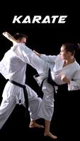 Karate Training - Karate Classes اسکرین شاٹ 3