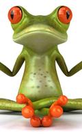 Frog Wallpapers capture d'écran 1