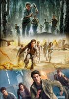 The Maze Runner Wallpaper capture d'écran 1