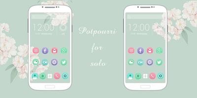 Potpourri-Solo Theme পোস্টার