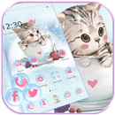 Cute Kitty Theme lovely Cup Cat Wallpaper APK