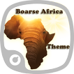 Boarse Africa Theme