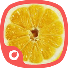 Fruit Candy Theme ikon