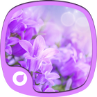 Love Flower Theme иконка