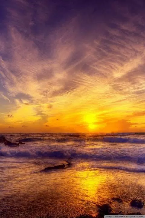 Paradise Wallpaper HD APK for Android Download Paradise Wallpaper HD APK for Android Download