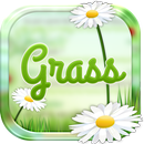 APK Best Grass SMS Plus Theme