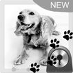 Cute Dog Theme for GO Locker