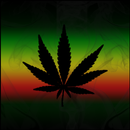 Rasta Live Wallpaper APK